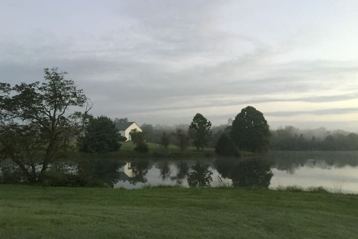 The B & B at Queenslake photo 2