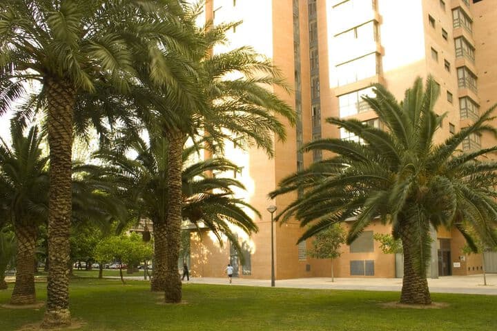 Apartamentos Plaza Picasso photo 3