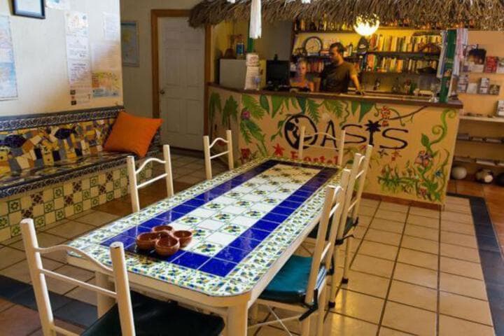 Oasis Hostel photo 2