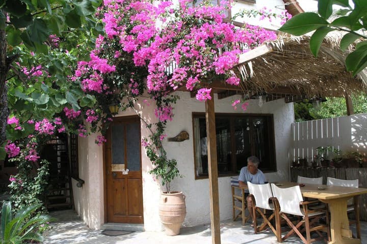 Olive Tree Cottages photo 2