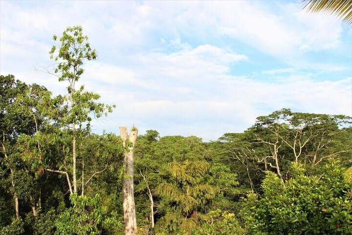 e stay Hanthana Kandy photo 3