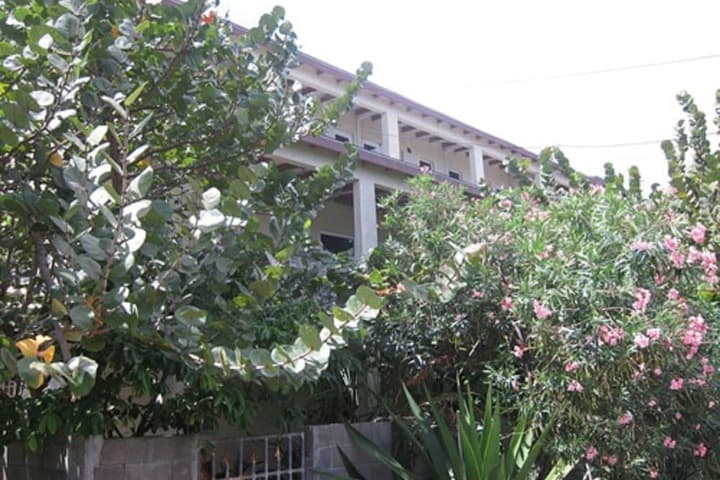 Culture House photo 2