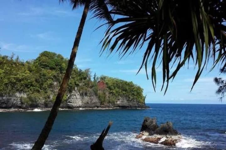 Kona Palace in Captain Cook photo 4
