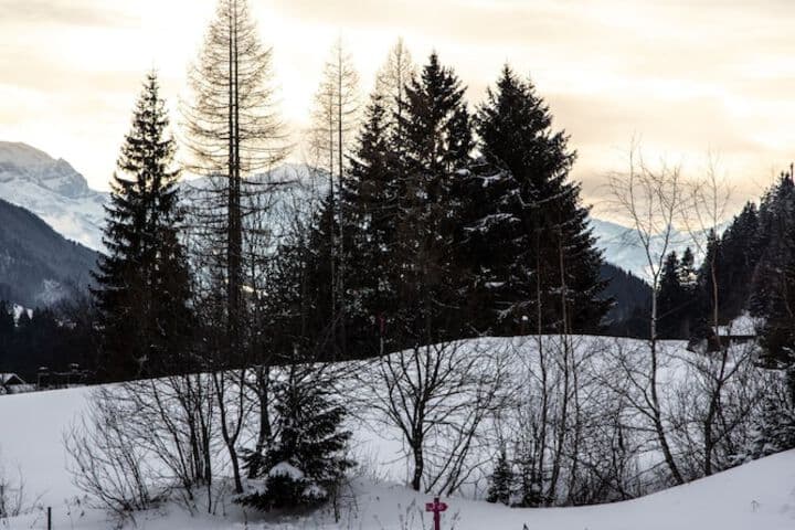 Relais Alpin photo 5