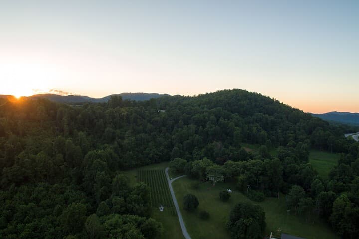 Orchard House B&B photo 2
