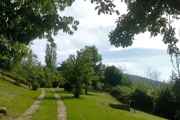 Agriturismo Basaletto photo 5