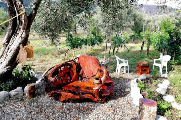 LOasi photo 3