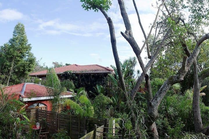 Bamboo The Guest House photo 3