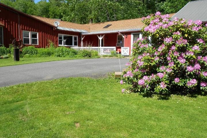 Cavalier Cottage B&B photo 4