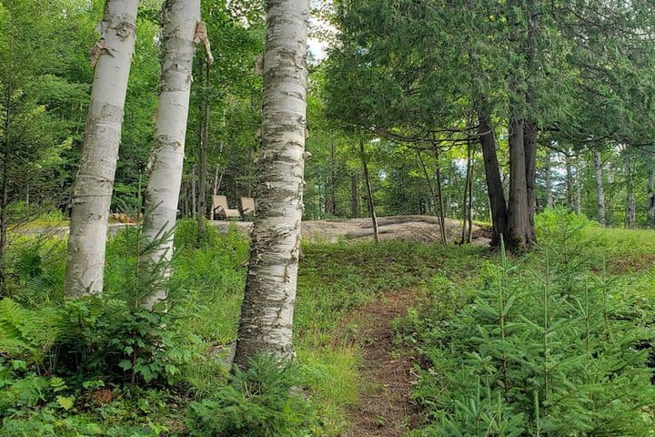 Le DEN de Tremblant photo 4