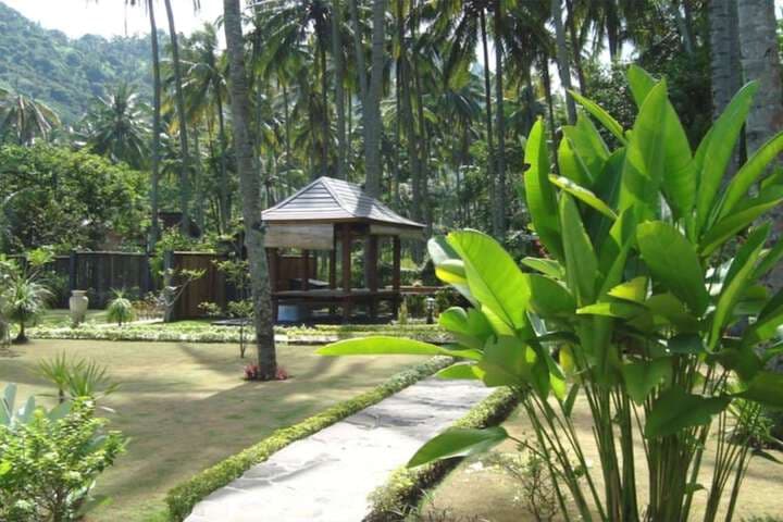 Dream Estate photo 4