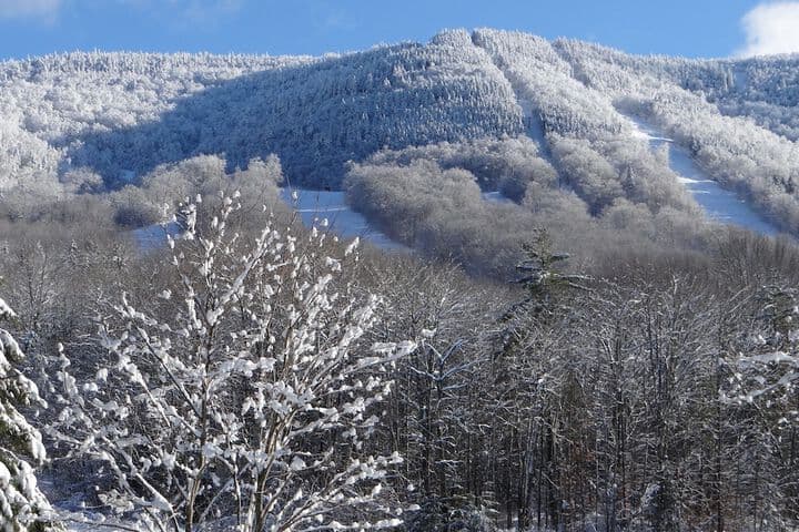 Blue Gentian Lodge at Magic Mountain photo 2