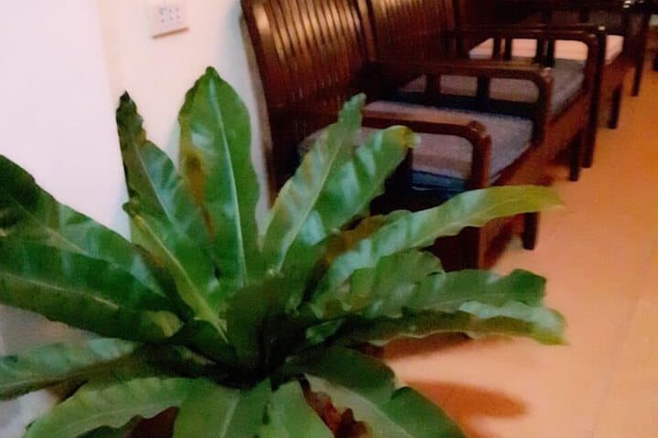 Phonepraseuth Guesthouse photo 4