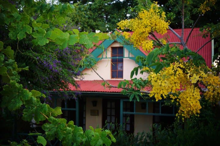 Petal Faire Cottage photo 3