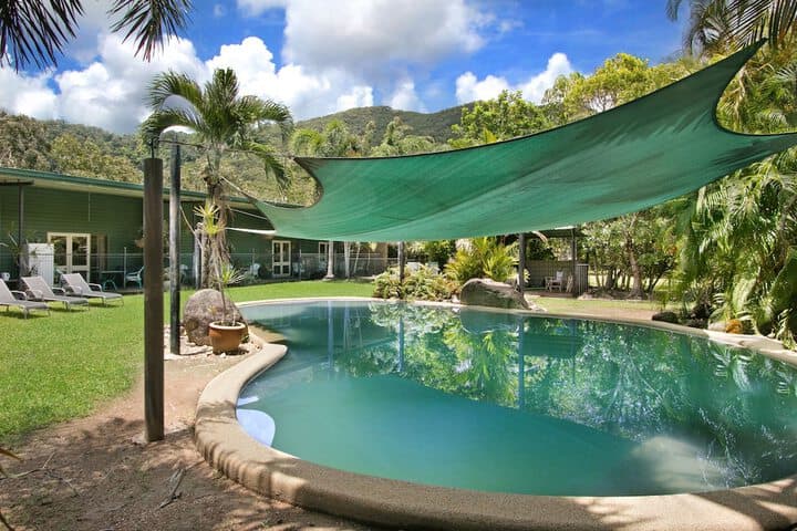 Daintree Wild Zoo & B&B photo 4