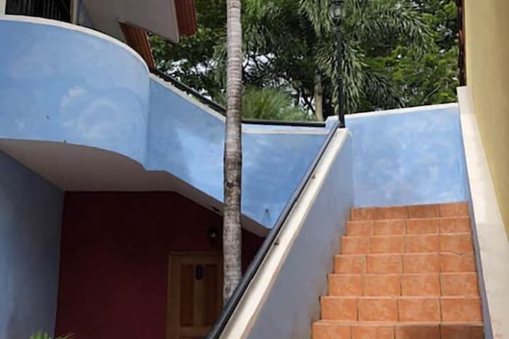 Tropical Gardens photo 4