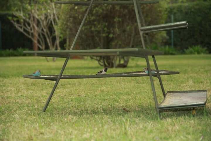 House of Waine photo 4