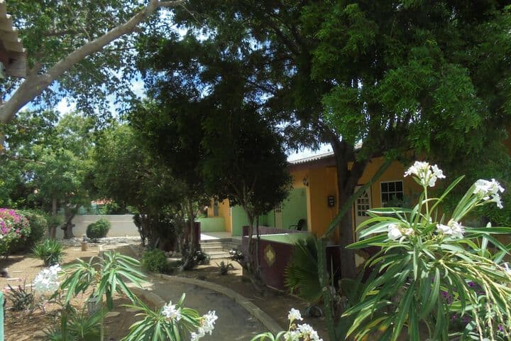 Happy Turtle Apartments photo 4