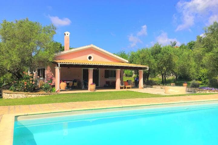 Villa Kleopatra photo 4