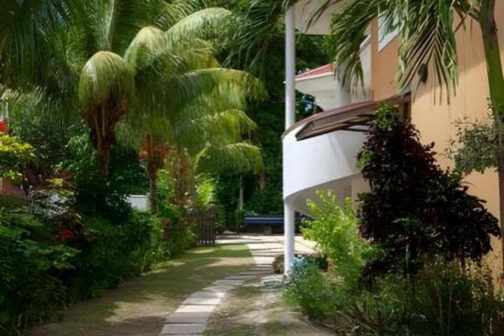 COTE DOR APARTMENTS photo 3