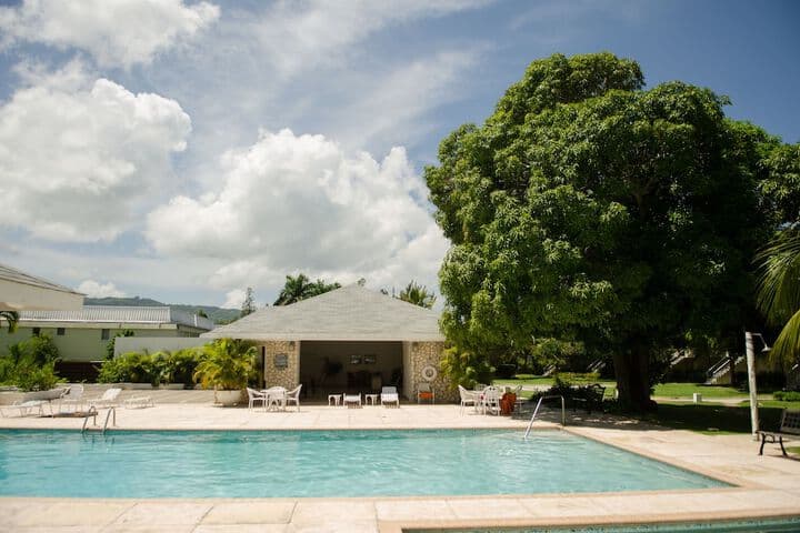 Seawind on the Bay Apartments photo 4