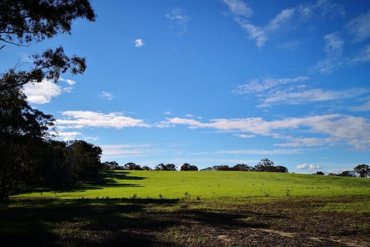 Kalimna Woods Cottages photo 5