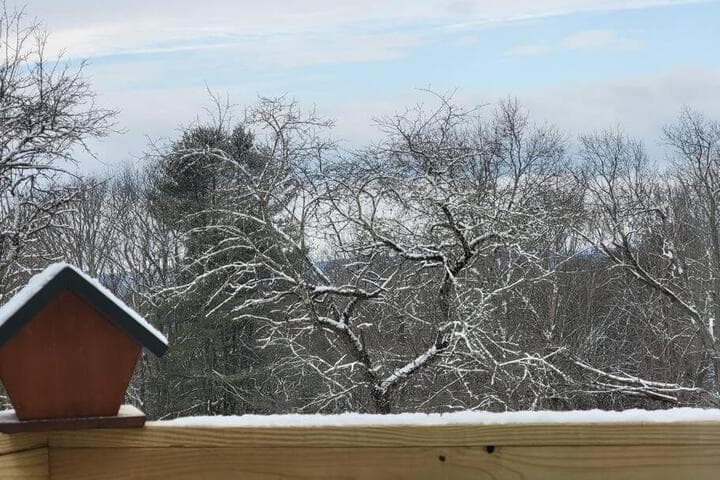 The Enchanted Cottage photo 2