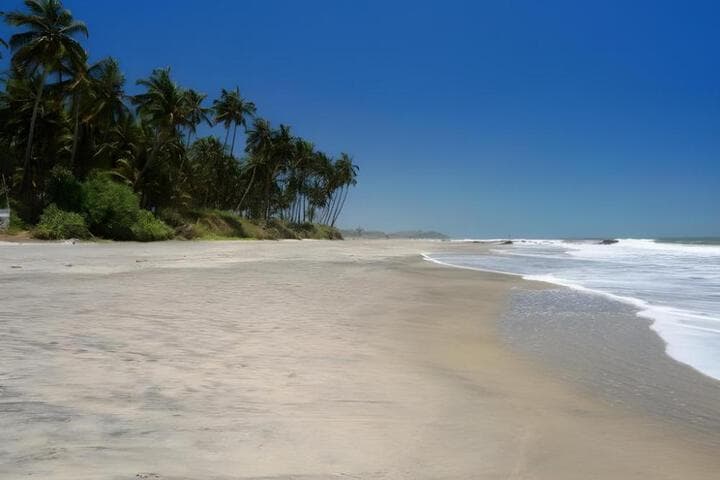 Tivai Beach Cottages photo 5