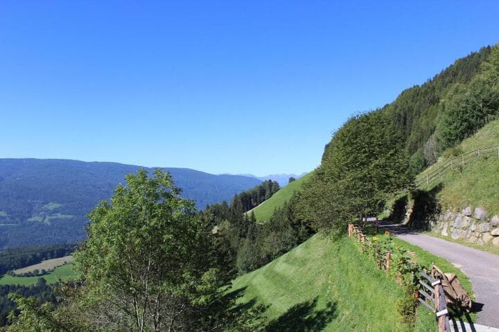 Leitnerhof photo 1