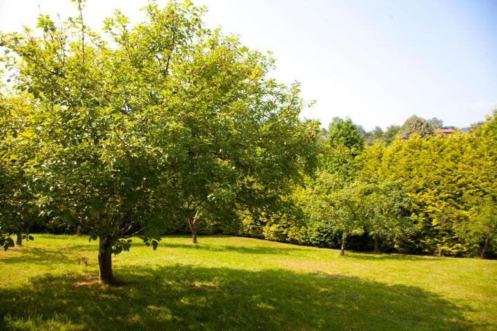 Villa Mercedes photo 4