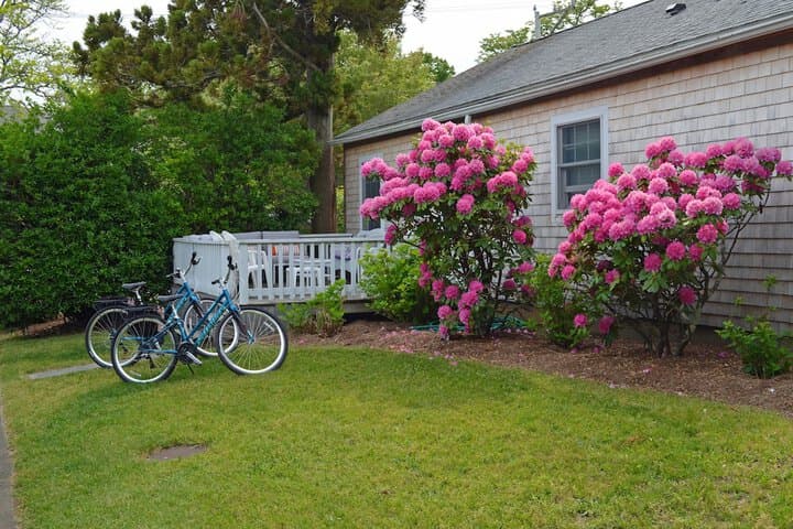 Edgartown Commons photo 2
