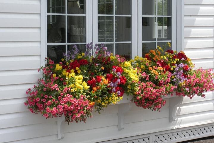 Cotes Bed & Breakfast Inn photo 3
