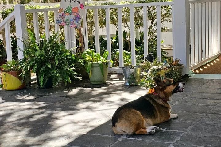 Tybee Island Inn photo 4