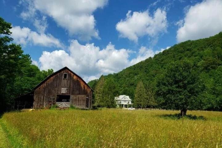Laurel River Club Bed & Breakfast photo 3