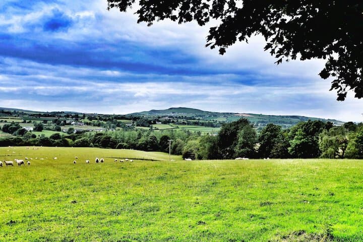 Elagh View Bed & Breakfast photo 3