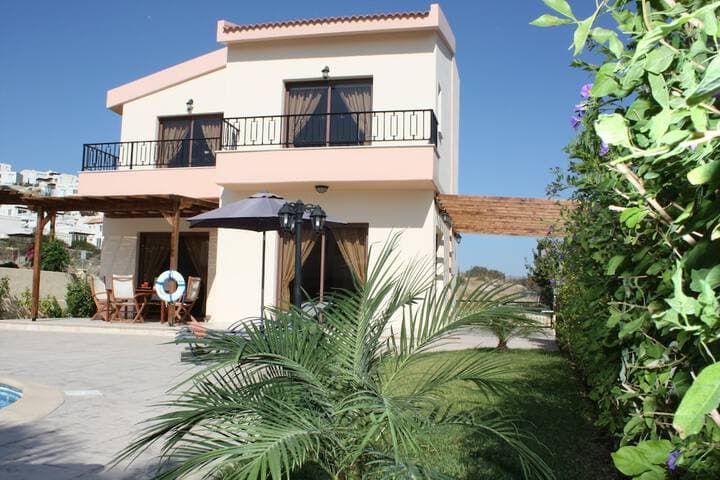 Vineland Cottage photo 5