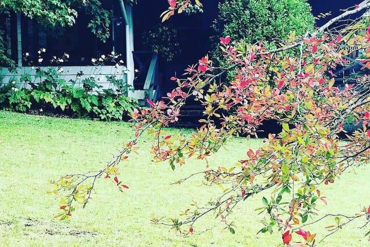 The Rustic Spirit photo 4