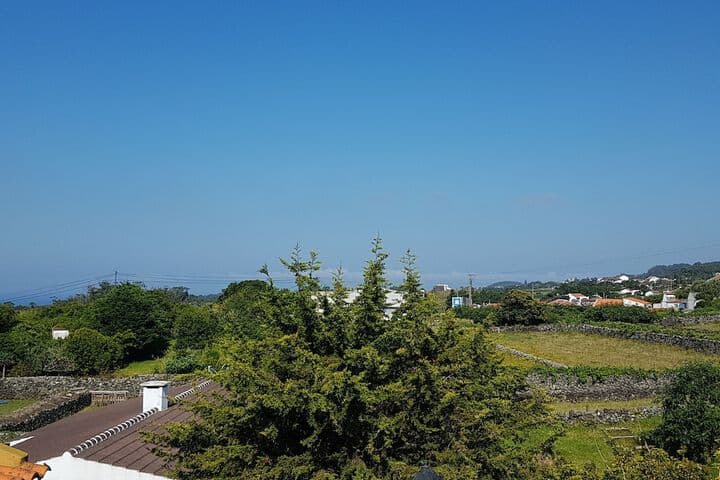 Casa Marques photo 4