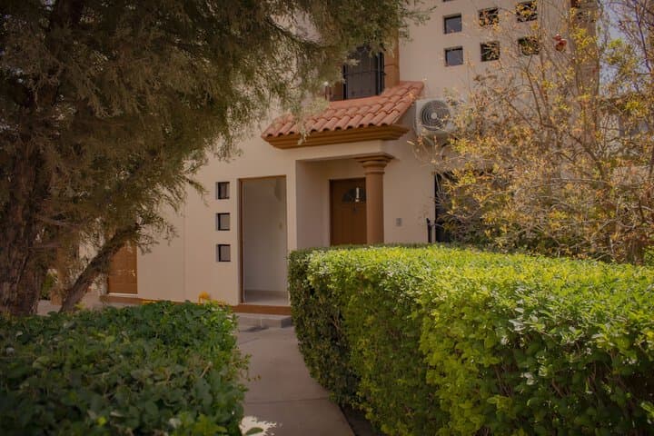 Suites Cervantes photo 4