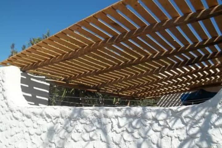 Blu Green Lampedusa photo 5