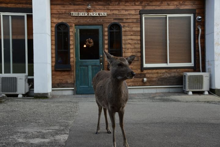 The Deer Park Inn photo 2