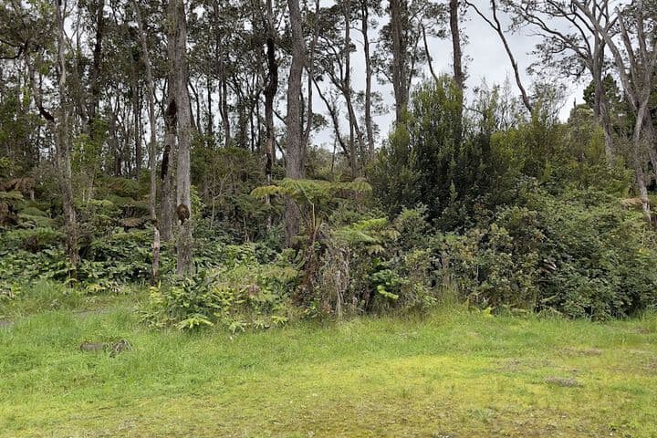 Volcano Forest Inn photo 3