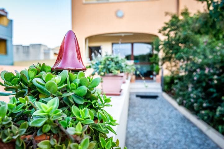 Sun&Sardinia photo 4