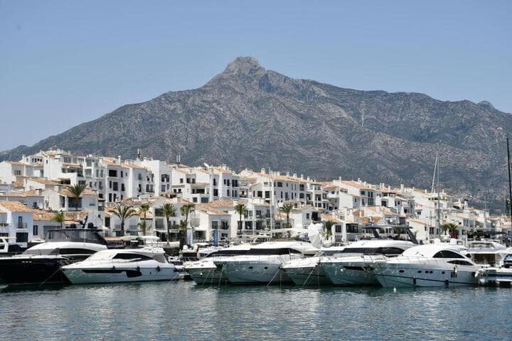 Bluebelle Marbella photo 2
