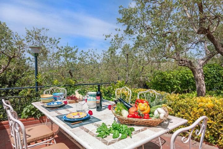 Villa Alfonsina photo 4