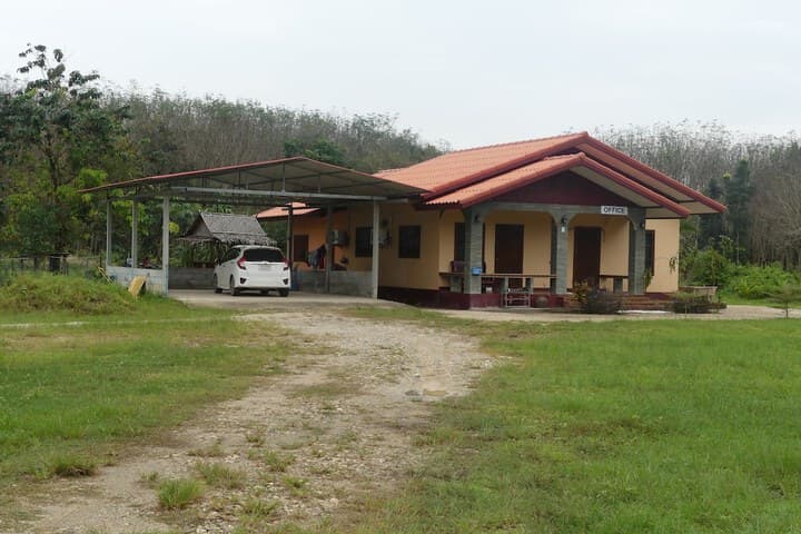 Health Care Land photo 5