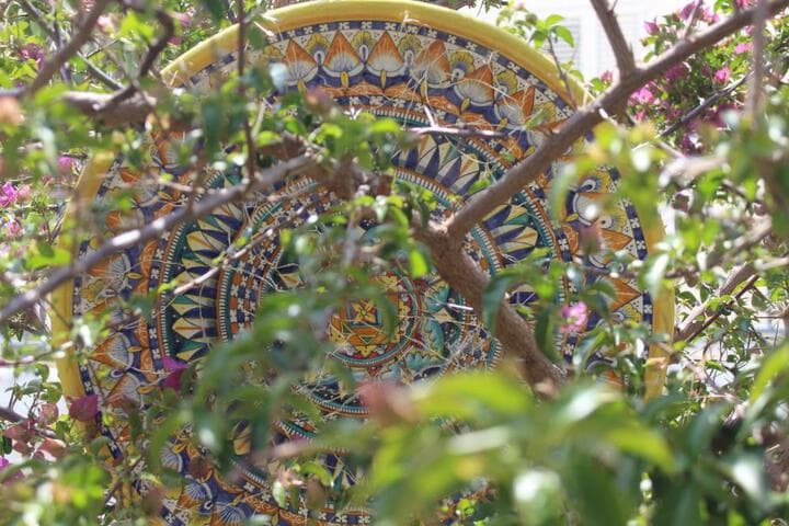 Mediterraneo B&B photo 1