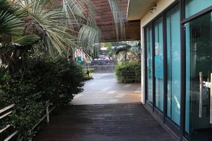 Palm Hill Pension photo 4