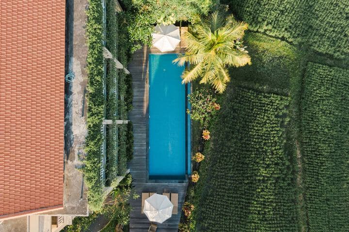 Byasa Ubud photo 3