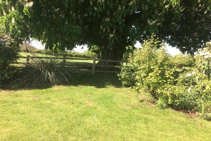 Mill Farm photo 3